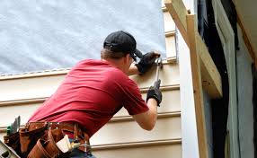 Best Custom Trim and Detailing for Siding  in Newark, DE